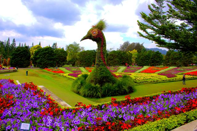 Tempat Liburan terbaik Keindahan Taman Bogor