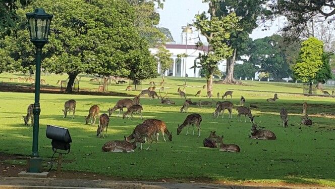 tempat wisata edukasi anak di bogor